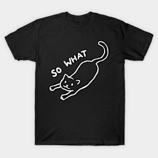 So what T-Shirt